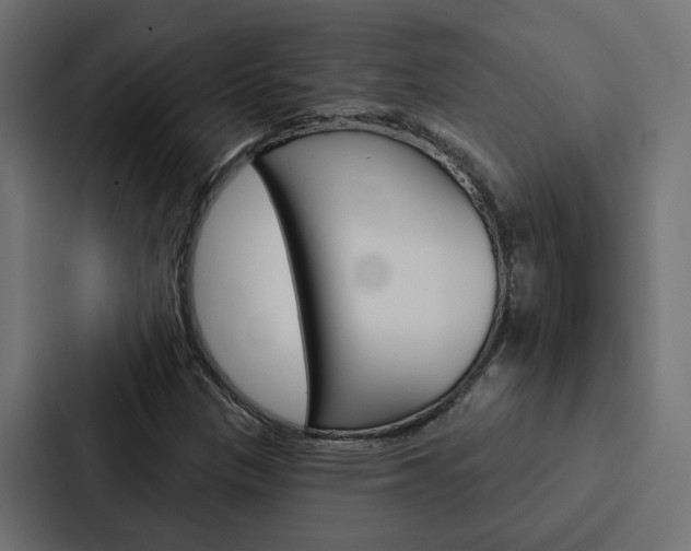 X0000088221305200705151021