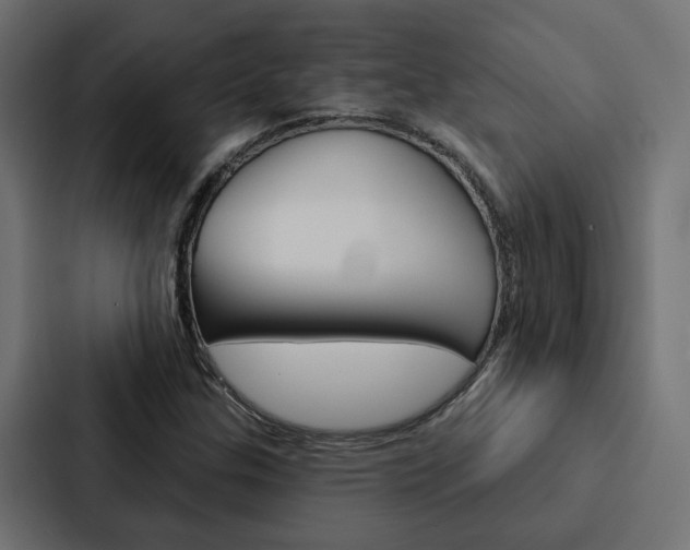 X0000088221307200705151021