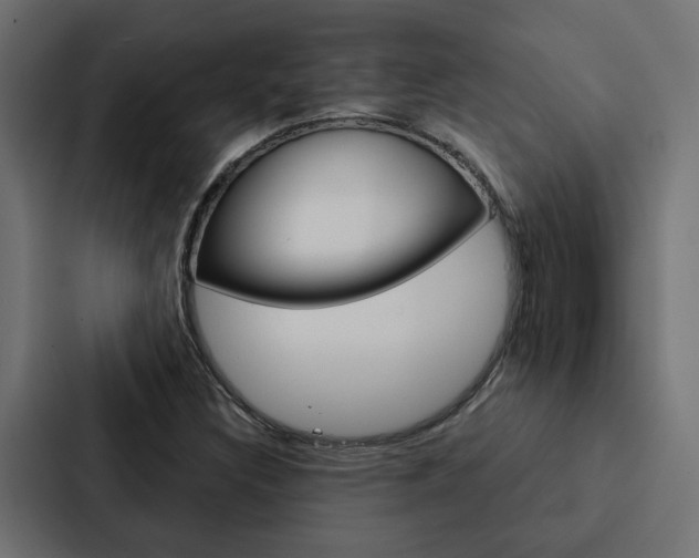 X0000088221308200705151021