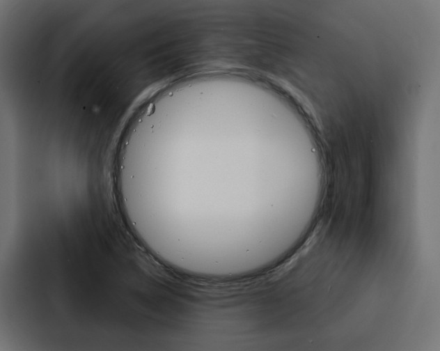 X0000088221314200705151021