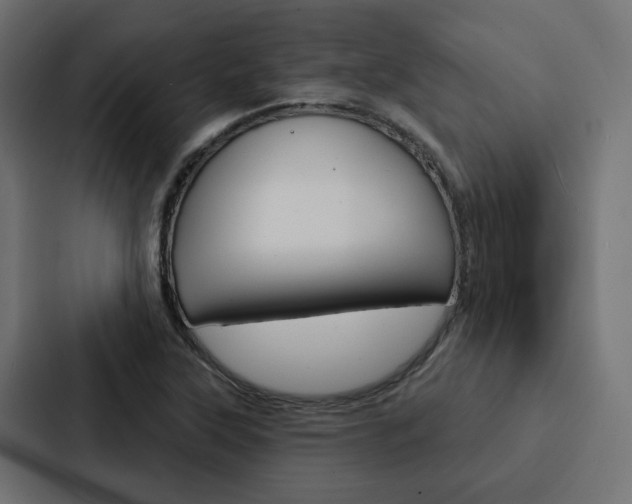 X0000088221315200705151021