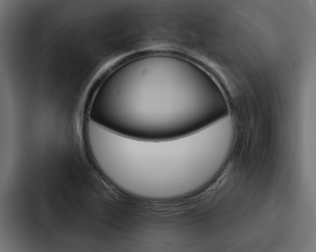 X0000088221319200705151021