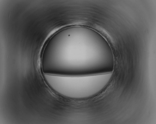 X0000088221324200705151021