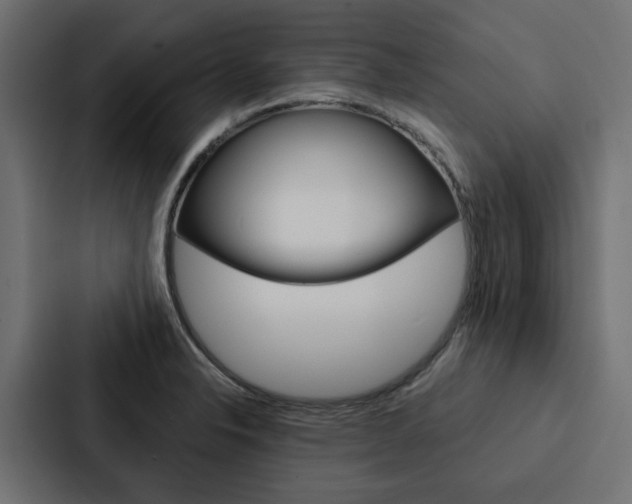 X0000088221326200705151021