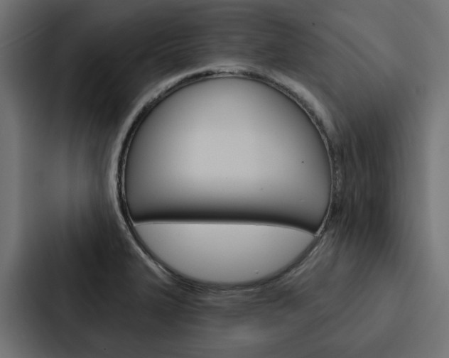 X0000088221327200705151021