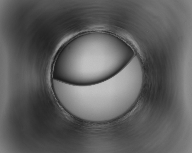 X0000088221328200705151021