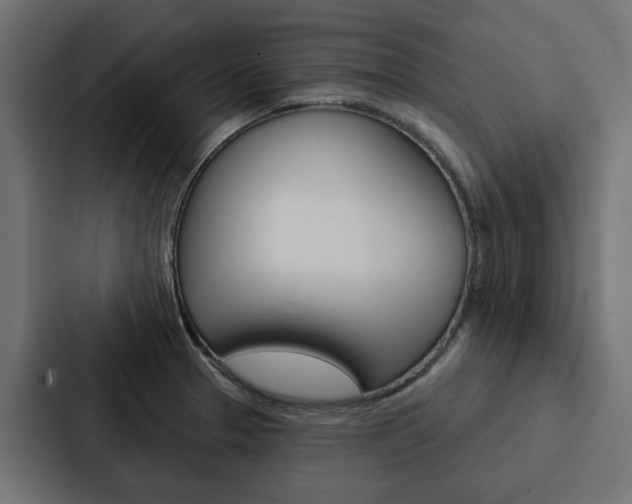 X0000088221329200705151021