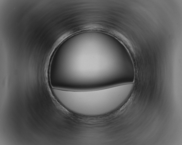 X0000088221330200705151021