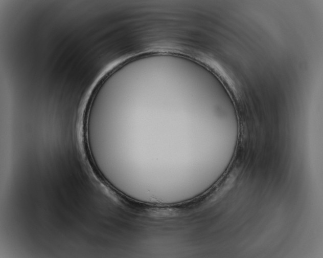 X0000088221331200705151021
