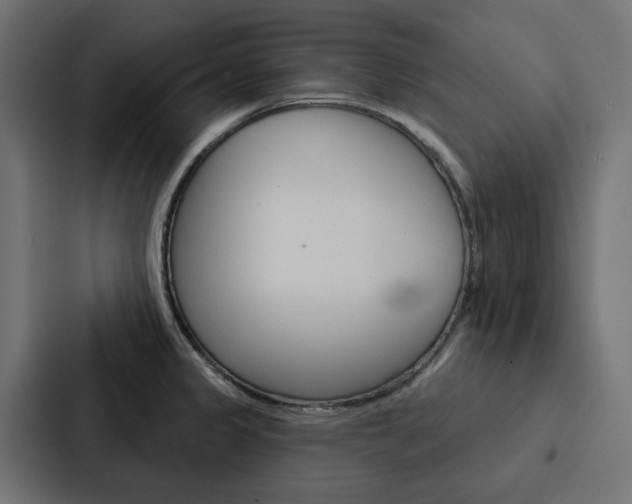 X0000088221333200705151021