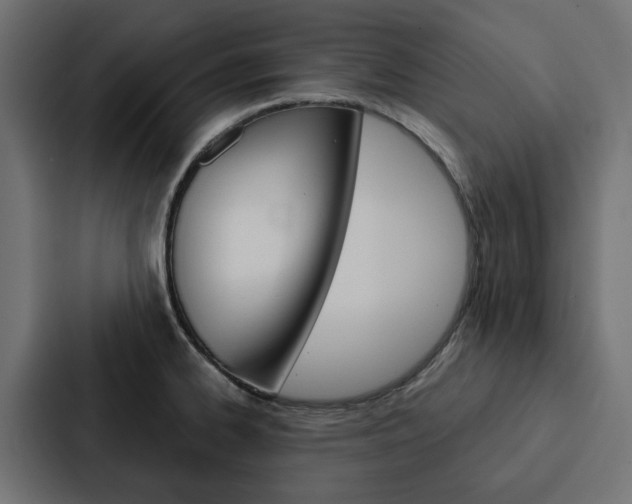 X0000088221334200705151021