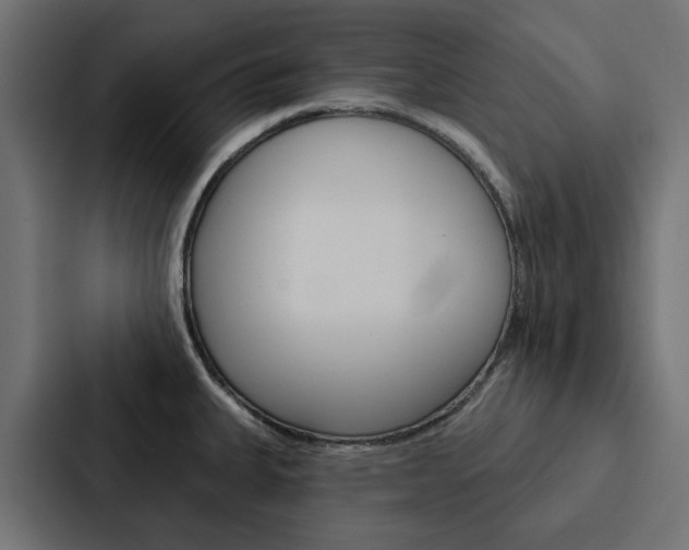 X0000088221335200705151021