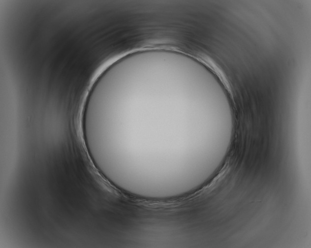 X0000088221336200705151021
