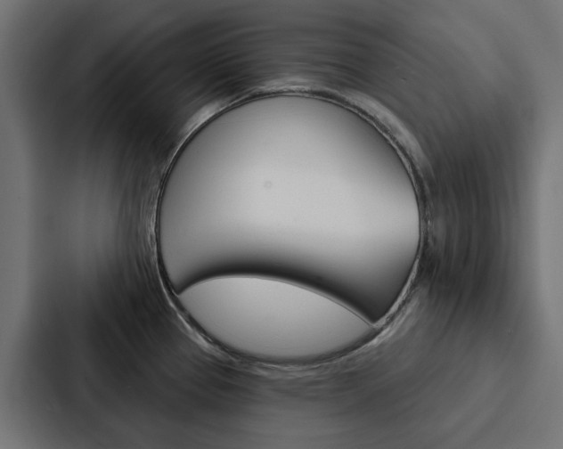 X0000088221337200705151021