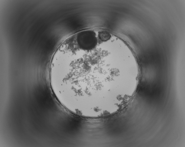 X0000088221338200705151021