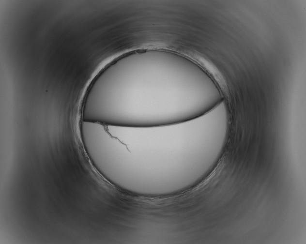 X0000088221340200705151021