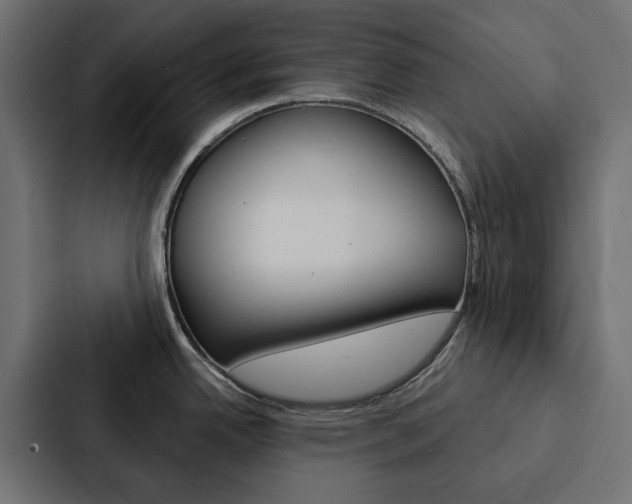 X0000088221342200705151021