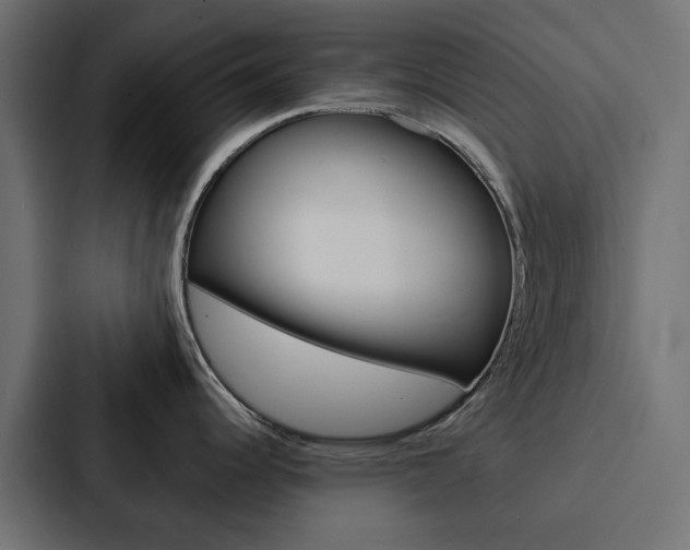 X0000088221344200705151021