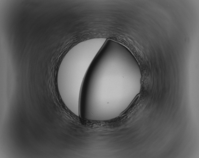 X0000088221345200705151021