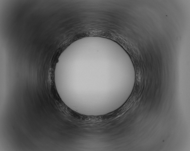 X0000088221346200705151021