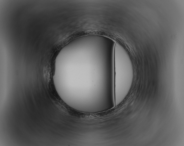 X0000088221348200705151021