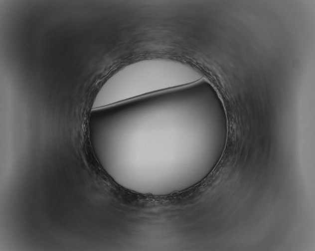 X0000088221349200705151021