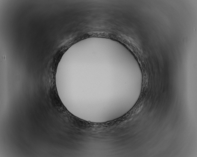 X0000088221350200705151021