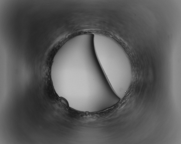 X0000088221351200705151021