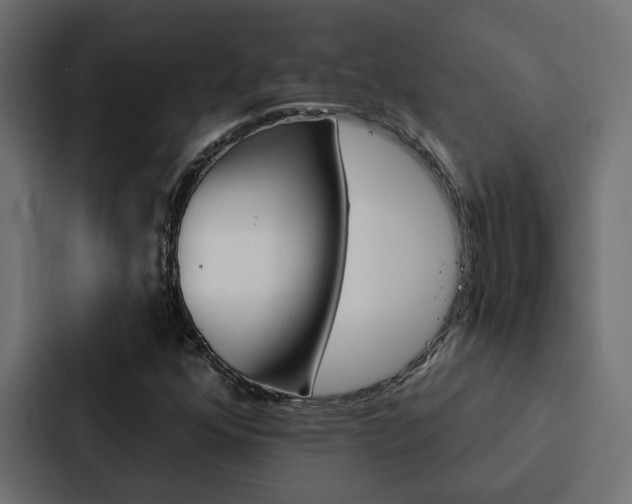 X0000088221352200705151021