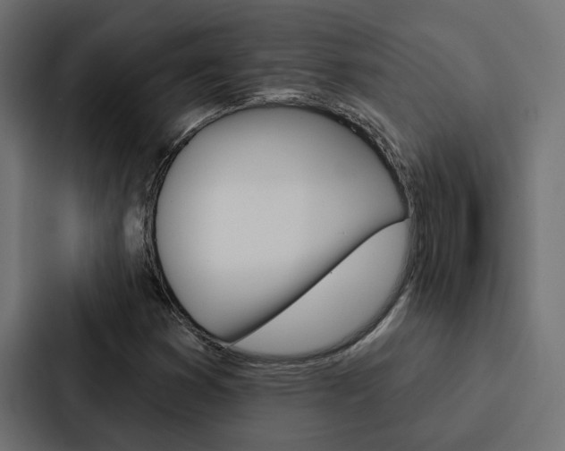 X0000088221353200705151021