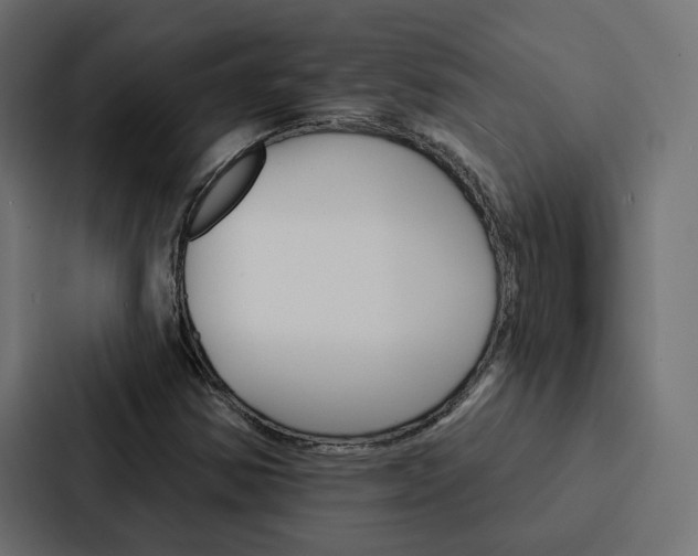 X0000088221354200705151021