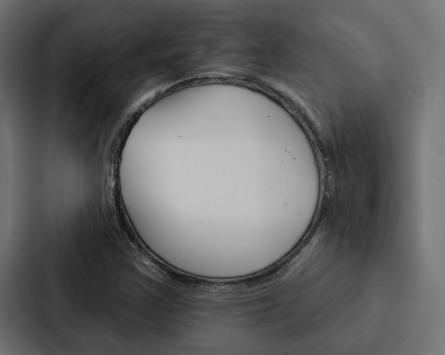 X0000088221355200705151021