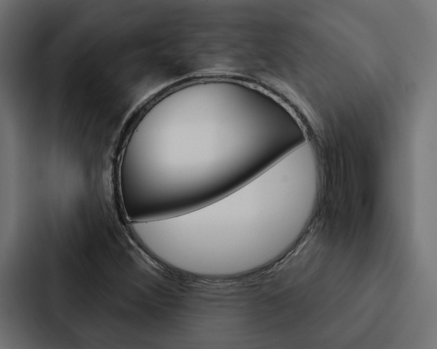 X0000088221356200705151021