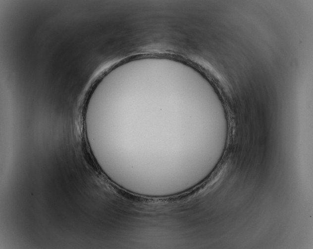 X0000088221358200705151021
