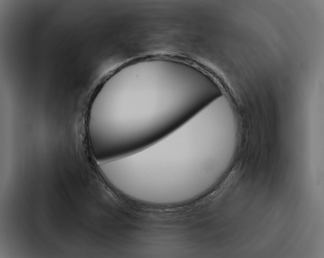 X0000088221359200705151021