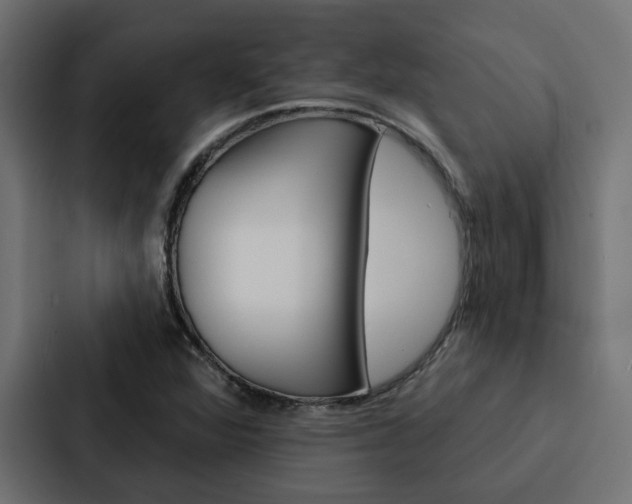 X0000088221360200705151021