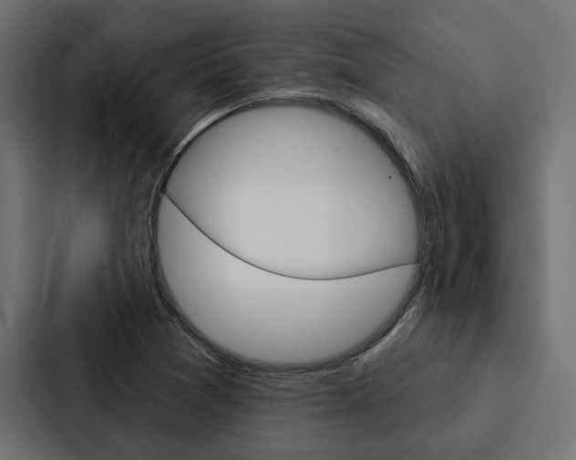 X0000088221361200705151021
