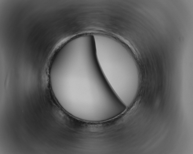 X0000088221363200705151020