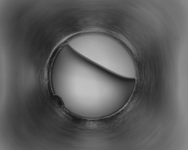 X0000088221364200705151020