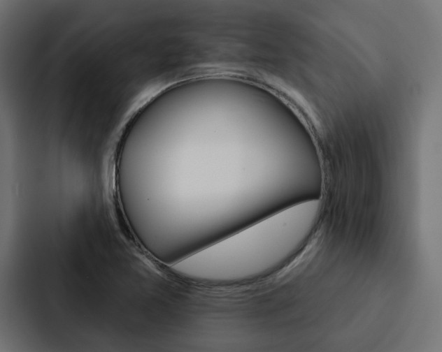 X0000088221365200705151020