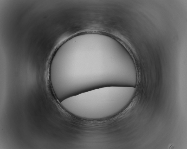 X0000088221366200705151020