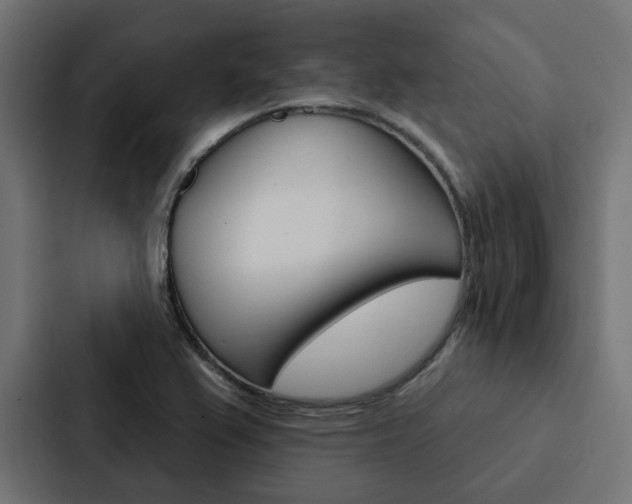 X0000088221367200705151020