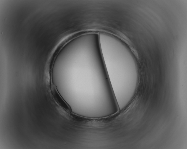 X0000088221368200705151020