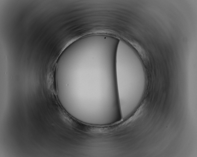 X0000088221369200705151020