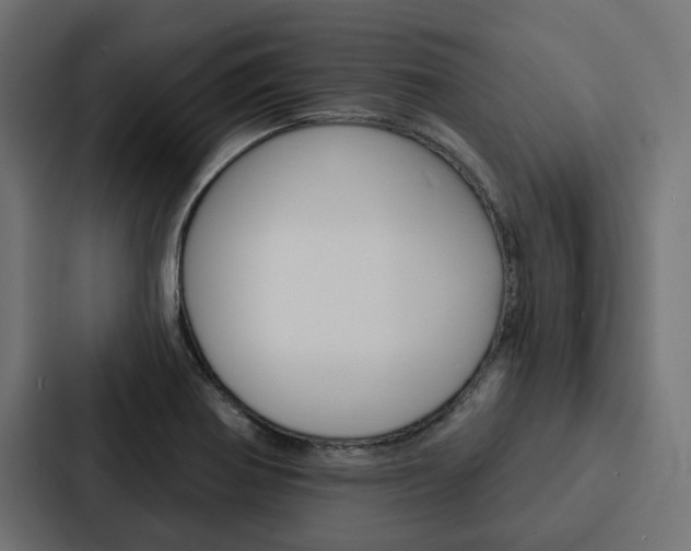 X0000088221370200705151020