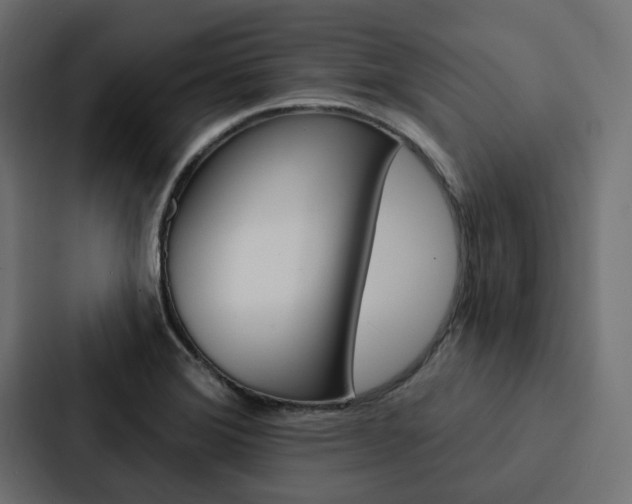 X0000088221372200705151020