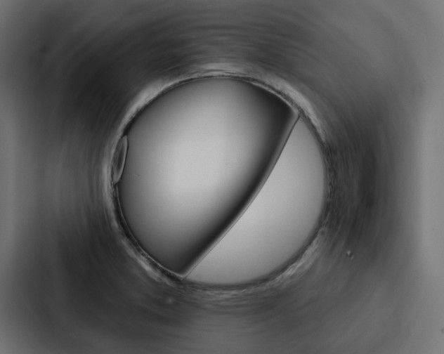 X0000088221373200705151020