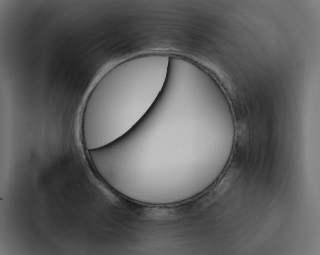 X0000088221374200705151020