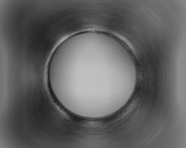 X0000088221375200705151020