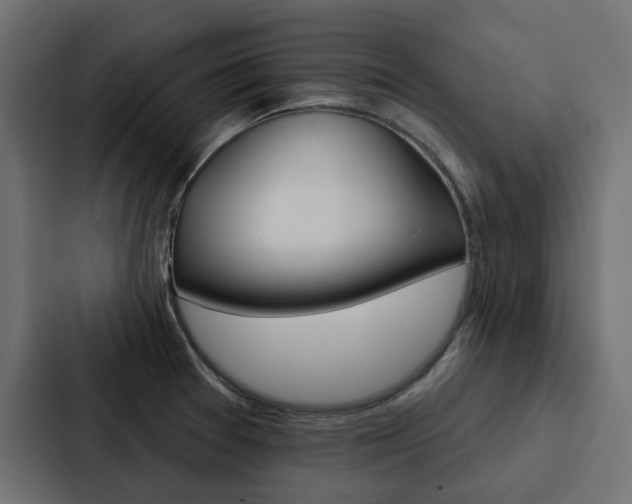 X0000088221377200705151020